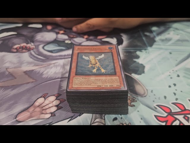 Diva Hero | YCS UTW Team 3nd Place Deck Profile - YouTube