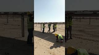 PV Module Installation on Purlins | Solar Tracker System Step-by-Step Guide