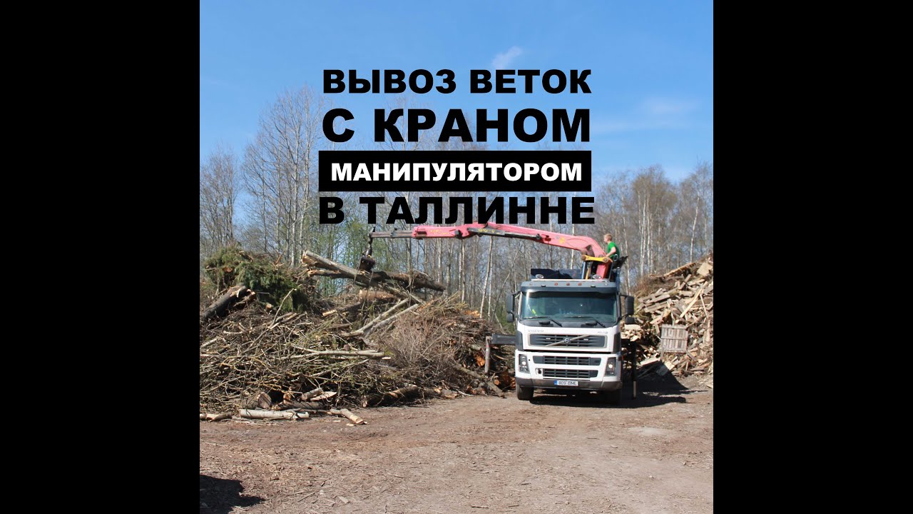 Куда увозят эвакуированные машины