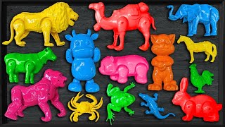 Download Lagu Membersihkan Mainan Hewan, Velociraptor, Stegosaurus, Triceratop, T-Rex, Pinguin, Panda, Ikan Hiu MP3 Download Lagu Membersihkan Mainan Hewan, Velociraptor, Stegosaurus, Triceratop, T-Rex, Pinguin, Panda, Ikan Hiu MP3