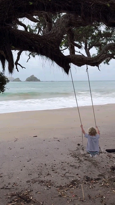 Asher Oakley Forsyth is at the swing and watching the waves of the sea.