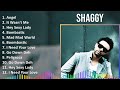 Shaggy 2024 MIX Best Songs - Angel, It Wasn