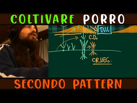 Video: Allevare polli in casa: caratteristiche, cure e consigli