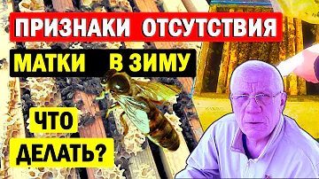 Нет матки Не нашёл матку Признаки отсутствия матки Что делать?