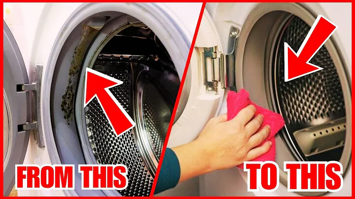 How to Remove Mold From A Washing Machine Door Seal (Fast & Easy)