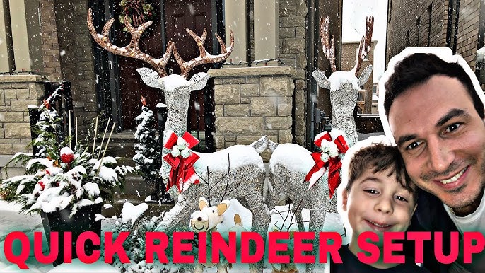  3-Piece Iridescent Reindeer Family - Lighted Deer Set