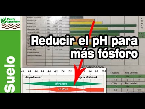 Video: ¿Qué ácido puede disolver la roca?