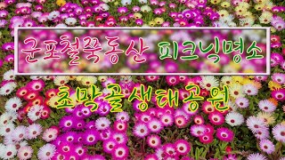 군포철쭉축제 연계 피크닉명소 | 초막골생태공원 | 산수화 같은 초막동천 인공폭포 | 재미있는 자가발전자전거 | 물새연못 | Gunpo Royal Azalea Festival