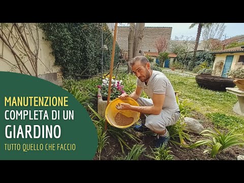Video: Aprile Attività di giardinaggio – Suggerimenti per la manutenzione del giardino centro-meridionale