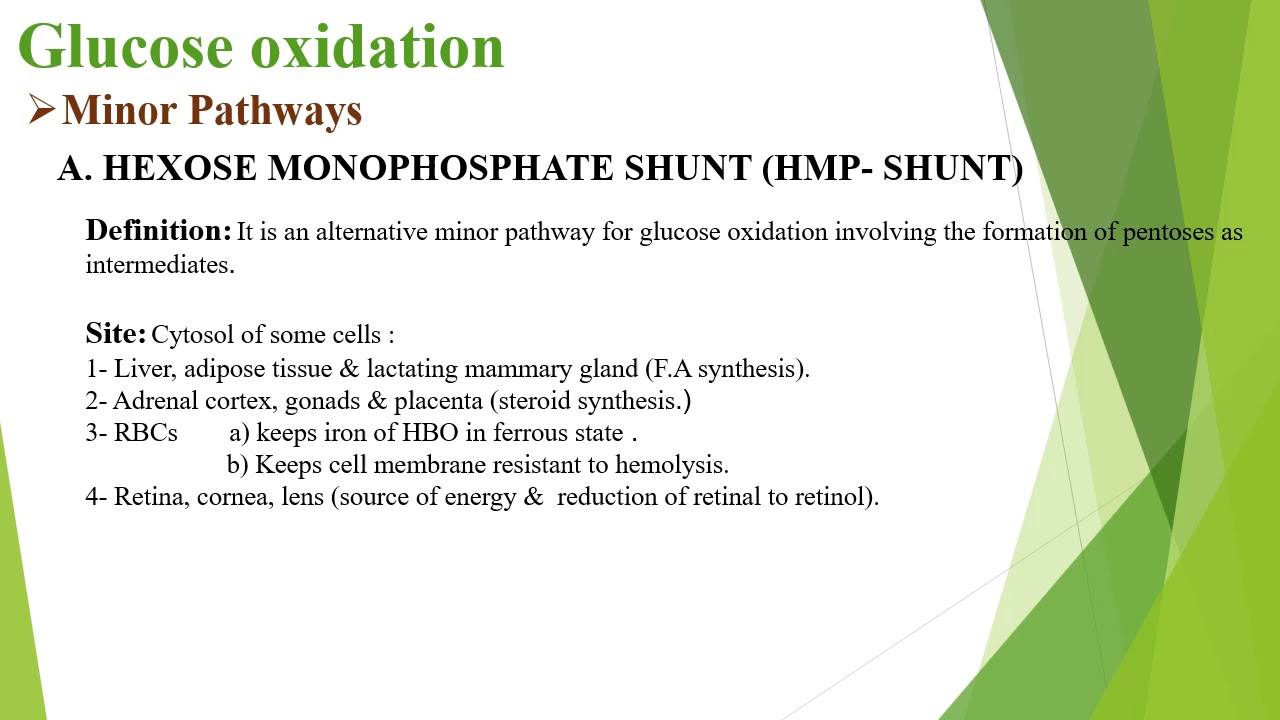محاضرة كيمياء حيوى بعنوان lecture No  2 Biochemistry د/ محاسن الفرقة الاولى يوم 31/10/2020