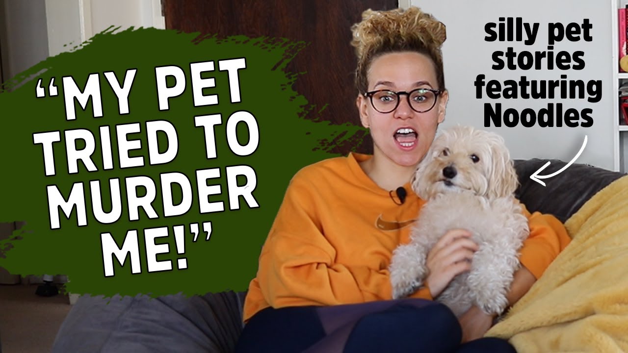 Why I'm Returning My Dog Noodles! Funny Pet Storytime Snippets YouTube