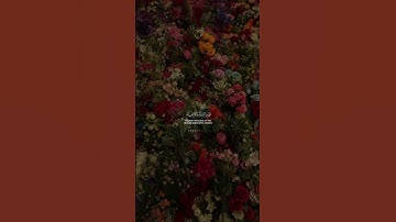 ﴿وَفِي السَّمَاءِ رِزْقُكُمْ وَمَا تُوعَدُونَ ﴾ [سورة الذاريات] القارئ|عبد الباسط عبد الصمد