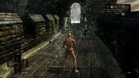 Taurus Demon SL1 no rolling/blocking/parrying (flawless)