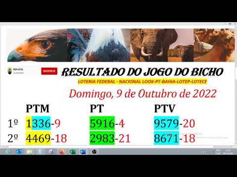 RESULTADO DO JOGO DO BICHO 09/10/2022 NACIONAL-LOOK-RIO-BAHIA-LOTEP-PARATODOS