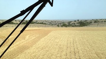 9650 STS Cutting wheat along the canyons in Nebraska