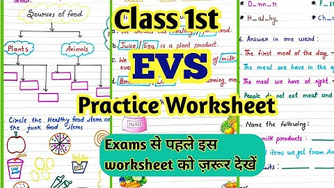 Class 1 EVS Syllabus 2023-2024 // Class 1 Evs Worksheet // Evs for Grade 1@PeehuandRudraCorner
