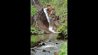 Andaina ríos Lañas e Beseño, Salto das pombas, Touro