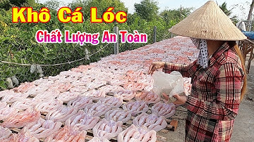 Cơ Sở Sản Xuất Khô Cá Lóc THIÊN VY, Ở Ấp Tấn Bình, Xã Tấn Mỹ, Chợ Mới, An Giang