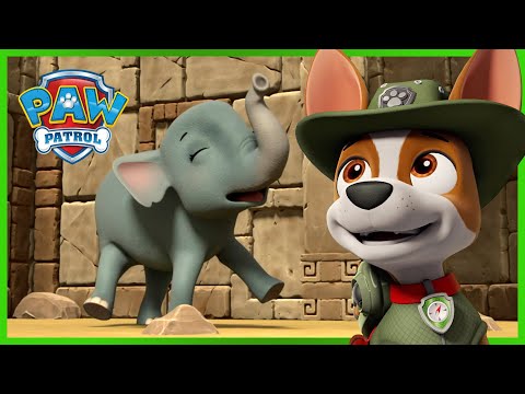 Paw Patrol, la Pat'Patrouille - La Pat'Patrouille et le martien de  l'antarctique / Un labyrinthe au milieu de la jungle