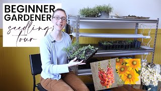 Seedling Tour from a BEGINNER GARDENER! Seedling Update March 2024 Zone 6b/7a  Cut Flower Garden