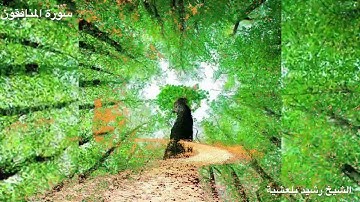 المصحف المرتل للشيخ رشيد بلعشية ((سورة المنافقون ))