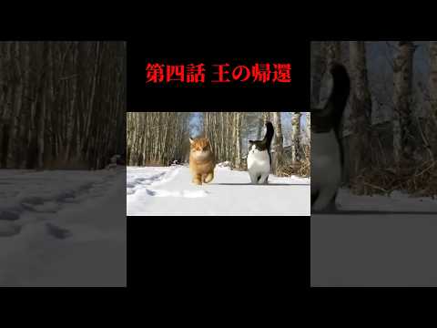 茶太郎おじさん - YouTube