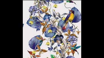 MCM 301 GDB Spring 2021