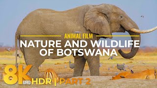 Scenic Film about Nature & Wildlife of Botswana - 8K HDR Amazing Wild Animals of South Africa - #2
