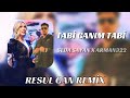 Seda sayan x arman322  tabi canm tabi  resul can remix 