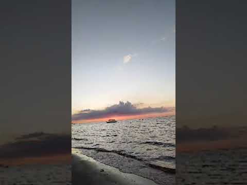Highlight 56:30 - 1:01:30 from waiting for sunset 🤭🌆