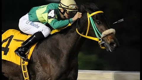 GRACIANI - Clsico Puerto Rico Futurity 2012