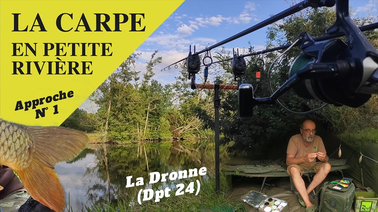 La carpe en petite rivière - Vol. 1