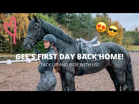 MY BEAUTIFUL BLACK STALLIONS FIRST DAY BACK, TACK UP AND RIDE WITH US...
