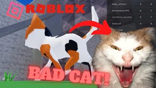 ROBLOX | BAD CAT!