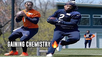 Justin Fields ➡️ D.J. Moore FIRST LOOK 👀  Bears Rookie Minicamp