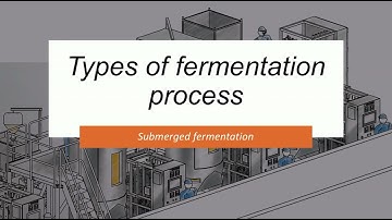 BMS543 Types of Fermentation Process Group 1 AS2445B Mai