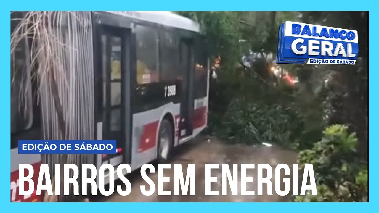 Queda de árvores causa falta de energia em diversos bairros da capital paulista