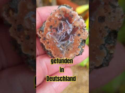 Achat Thunderegg Deutschland