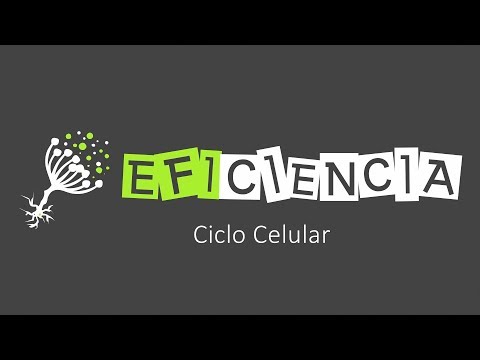 Vídeo: Diferencia Entre La Fase G1 Y G2 Del Ciclo Celular