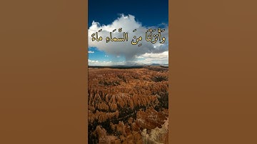 القارئ الشيخ مصطفى الفرجاني