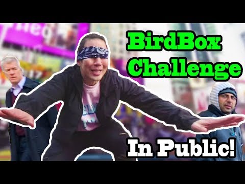 bird-box-challenge-in-public!!