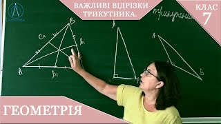 картинка: Курс 2(2). Заняття №3. Важливі відрізки трикутника. Геометрія 7.