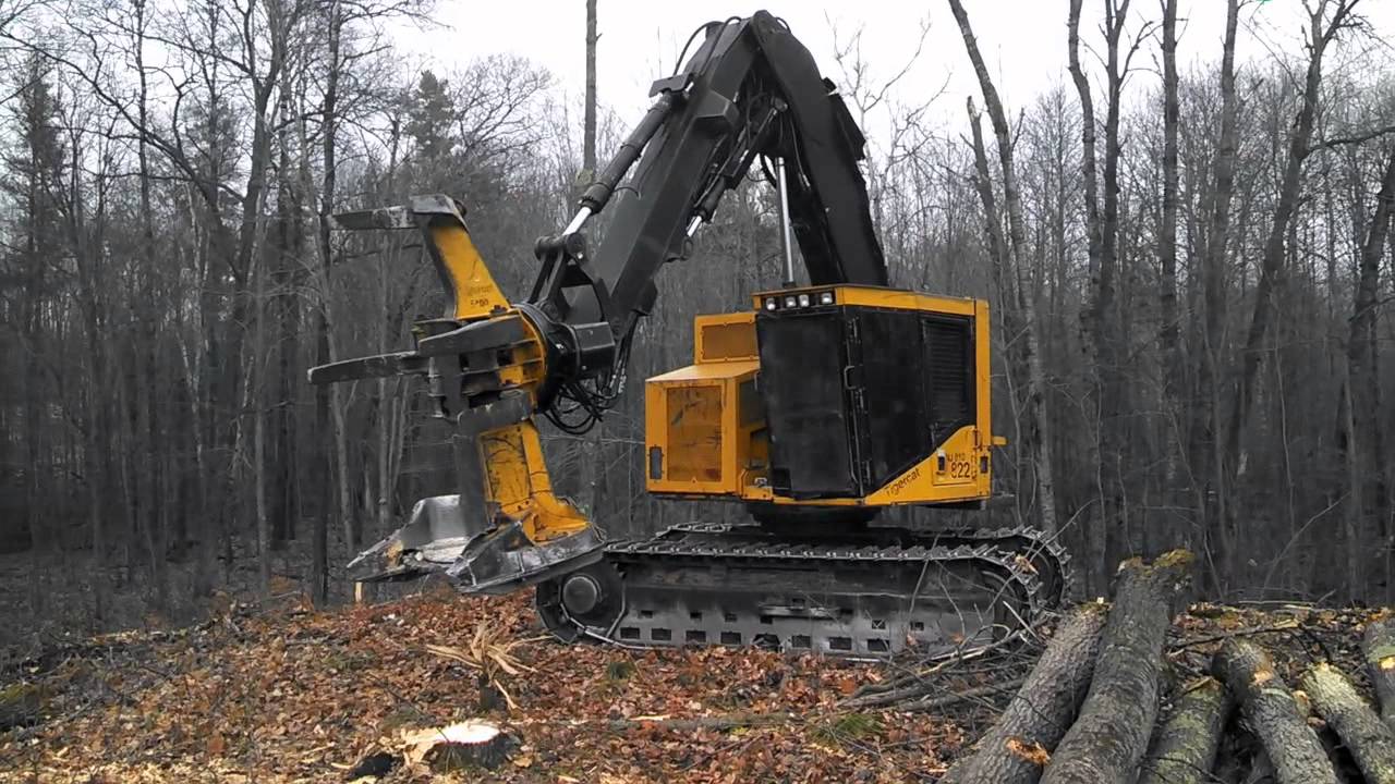 2004 Tigercat 822 Feller Buncher - FES - YouTube