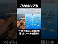 この釣りには夢がある‼