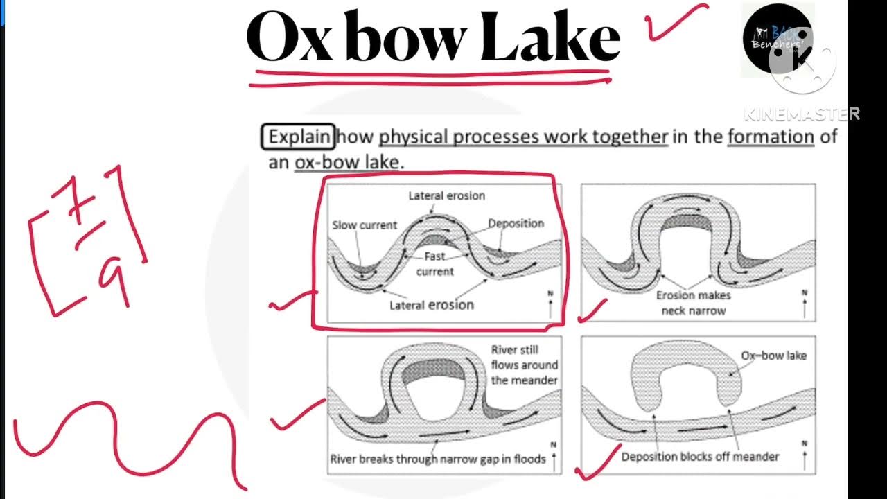 Formation Of Oxbow Lake Ox Bow Lake Kaise Banta Hai Understand In Hindi formation-of-oxbow-lake-ox-bow-lake-kaise-banta-hai-understand-in-hindi