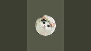Umai Recipes is live!