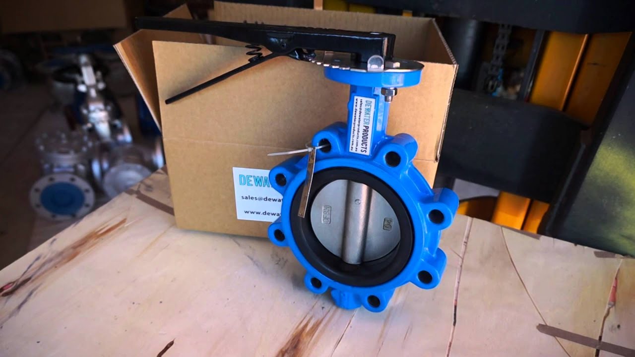 100mm Lugged Butterfly Valve | Defender Valves