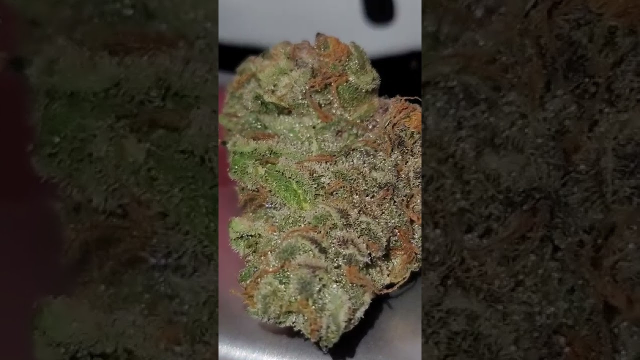 😎😎😎HEAVY EYE COOKIES INDOOR STRAIN 😮‍💨😮‍💨😮‍💨