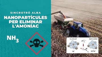 Llum de sincrotró per nous catalitzadors que eliminen l