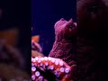 4 Mind Blowing Facts You Will Think About At 3 AM 4 Mind Blowing Facts You Will Think About At 3 AM